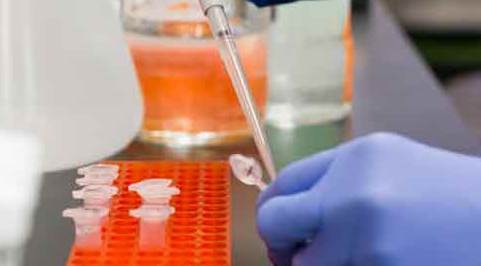 Bilecik'te 3 eve koronavirüs karantinası