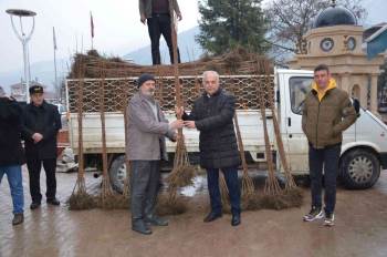 Bilecik’Te 4 Bin 150 Adet Cennet Hurması Dağıttı
