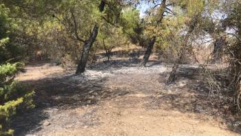 Bilecik’Te 4 Farklı Bölgeye Yıldırım Düşmesi Sonucu Yangın Çıktı
