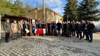 Bilecik’Te 5 Bin Adet Sertifikalı Ceviz Fidanı Dağıtıldı
