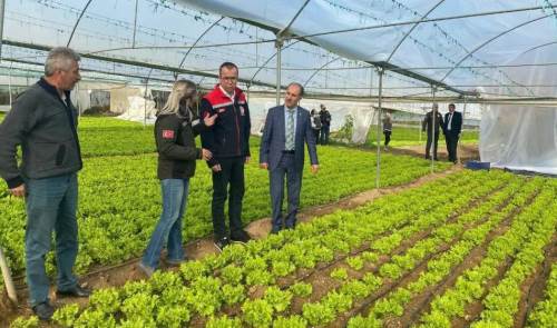 Bilecik’te 52 çiftçiye sera naylonu desteği sağlandı