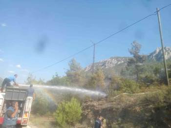 Bilecik’Te 6 Dönüm Ormanlık Alan Kül Oldu
