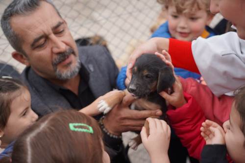 Bilecik’te 600 öğrenci hayvanlarla buluştu