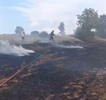 Bilecik’Te Anız Yangını
