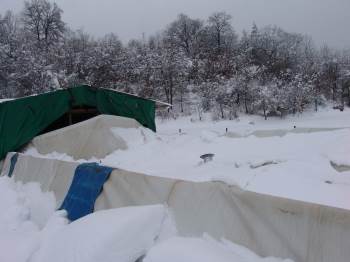 Bilecik'te aşırı kar yağışı sonucu ahır çöktü!