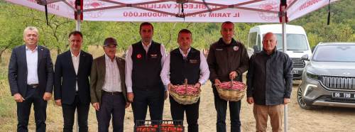 Bilecik’te barbunya hasadı başladı: Yıllık 4 bin 500 ton üretim bekleniyor