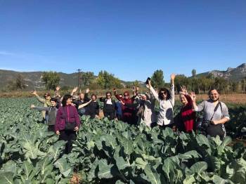 Bilecik’Te Bu Yıl Ayva Hasadının 7 Bin Ton Olması Bekleniyor
