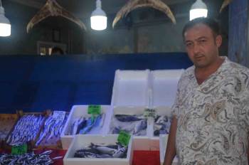 Bilecik’Te Çeşit Çeşit Balıklar Tezgahta Yerini Aldı
