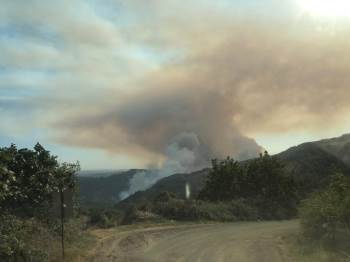 Bilecik’Te Çıkan Orman Yangının Dumanı Kenti Kapladı
