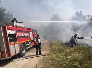 Bilecik’Te Çıkan Yangın Ormana Sıçramadan Söndürüldü
