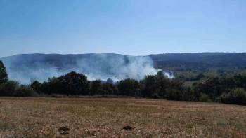 Bilecik’Te Çıkan Yangında 40 Dönümlük Tarım Arazisi Zarar Gördü

