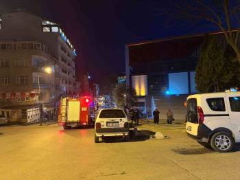 Bilecik’Te Çocuklar Palmiye Ağacını Yaktı
