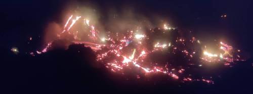 Bilecik'te çürük ağaçları yakarken alevler araziye yayıldı!