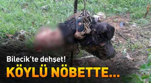 Bilecik'te dehşet... Köylü nöbette