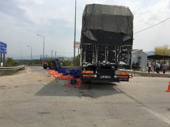 Bilecik’Te Domates Yüklü Traktöre Kamyon Çarptı: 3 Yaralı
