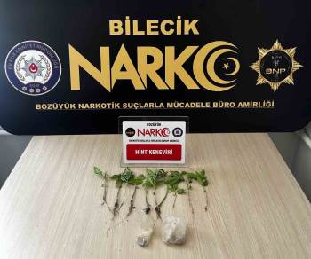 Bilecik’Te Evinde Uyuşturucu Yetiştiren Şüpheliyi Eşi Ele Verdi
