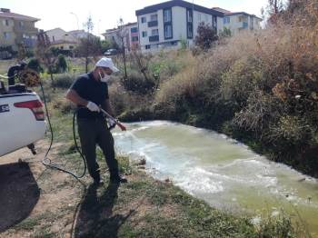 Bilecik’Te Haşerelere Karşı İlaçlama Çalışması Yapıldı
