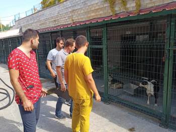 Bilecik’Te Hayvan Barınaklarında Denetimler Yapıldı
