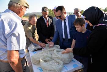 Bilecik’Te İlk Fasulye Hasadı Yapıldı
