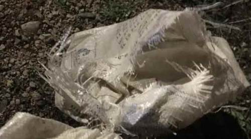 Bilecik'te jandarmayı şok eden çuval!