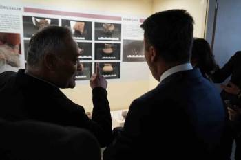 Bilecik’Te Kalkolitik Döneme Ait Objeler Müzede Sergileniyor
