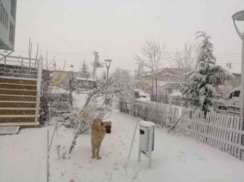 Bilecik’Te Kar Yağışı Etkili Oluyor
