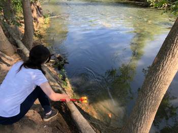 Bilecik'te korkutan ölümlerle ilgili...