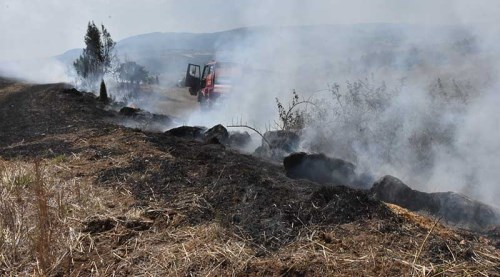 Bilecik'te korkutan yangın - Bilecik haberleri