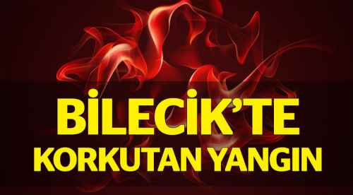 Bilecik'te korkutan yangın