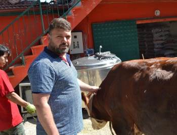 Bilecik’Te Kurbanlık Telaşı Başladı
