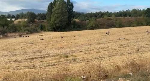 Bilecik'te öğrenciler okula gidemez oldu, herkes tedirgin!