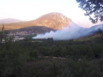 Bilecik’Te Orman Yangını
