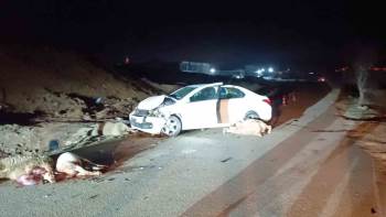 Bilecik’Te Otomobil Koyun Sürüsüne Çarptı, 1 Kişi Yaralandı

