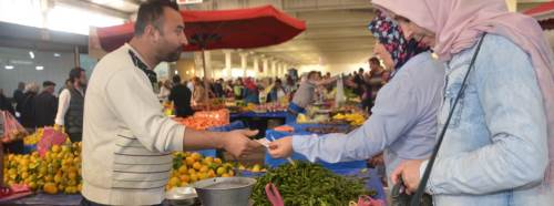 Bilecik'te pazarların favorisi turşuluk salatalık!