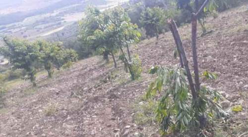 Bilecik'te sabah gördüğü manzara karşısında şok oldu!