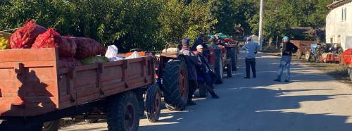 Bilecik’te sabahın ilk ışıklarında ceviz mesaisi: Traktör kuyruğu oluşuyor