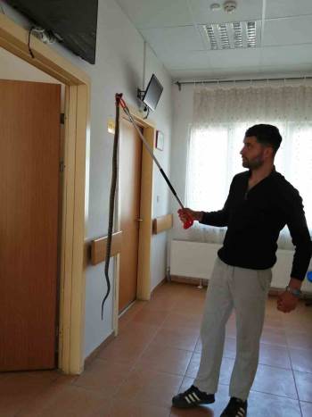 Bilecik’Te Sağlık Ocağına Giren Yılan Panik Yaşattı
