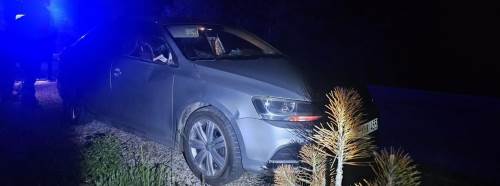 Bilecik’te seyir halindeki otomobile geyik çarptı: 2 yaralı