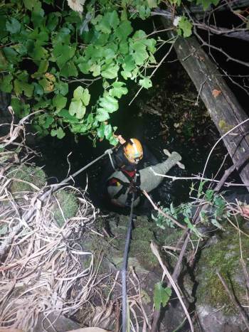 Bilecik’Te Su Dolu Çukura Düşen Koyun Kurtarıldı
