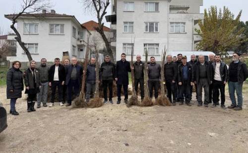Bilecik’te tarımsal üretim güçleniyor: Çiftçilere fidan desteği