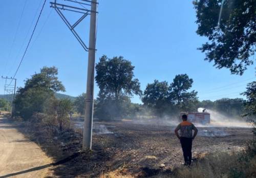 Bilecik’te tarlada başlayan yangın ormana sıçradı