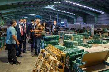 Bilecik’Te Üniversite - Sanayi İş Birliği Köprüsü Kuruluyor
