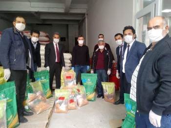 Bilecik’Te Üreticilerine Yonca Ve Silajlık Mısır Tohum Desteği
