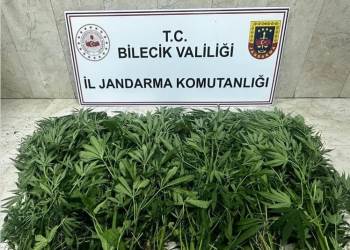 Bilecik’Te Uyuşturucu Operasyonu: 2 Şüpheli Tutuklandı
