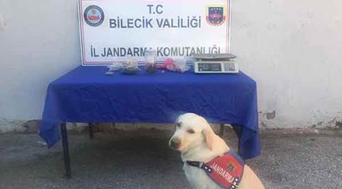 Bilecik'te uyuşturucu operasyonu
