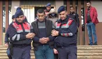 Bilecik’Te Yaşanan Köpek Katliamında 4 Tutuklama
