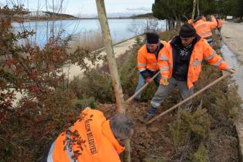 Bilecik’Te Yüzlerce Ağaç Ve Bitki Toprakla Buluştu

