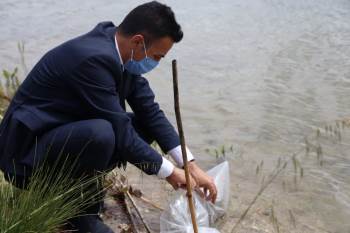 Bilecik’Teki 9 Gölete 54 Bin Sazan Yavrusu Salındı
