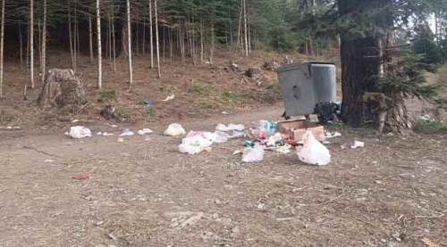 Bilecik'teki doğal güzelliğe çevre katliamı!