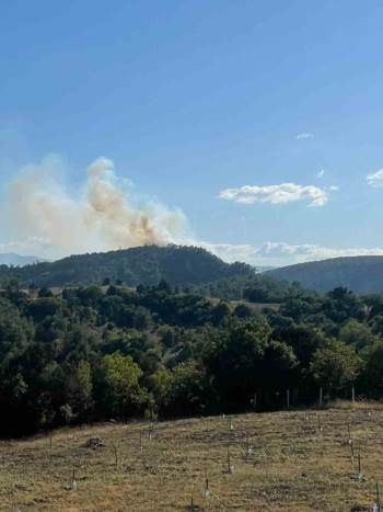Bilecik’Teki Orman Yangını Kontrol Altına Alındı
